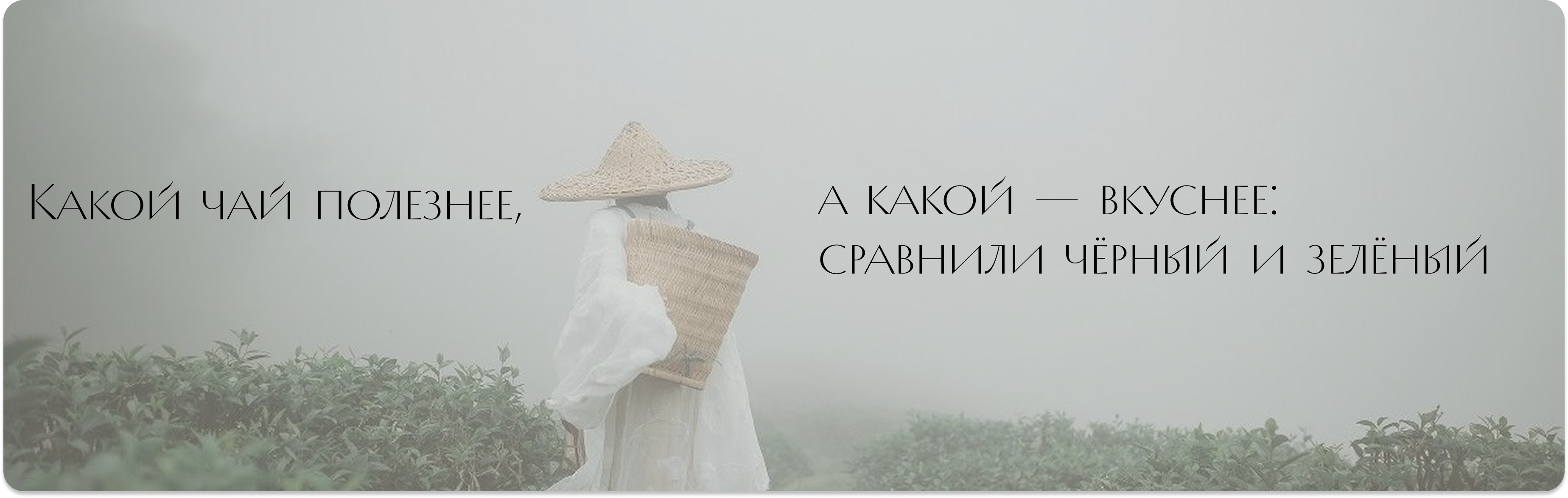 Статья 5
